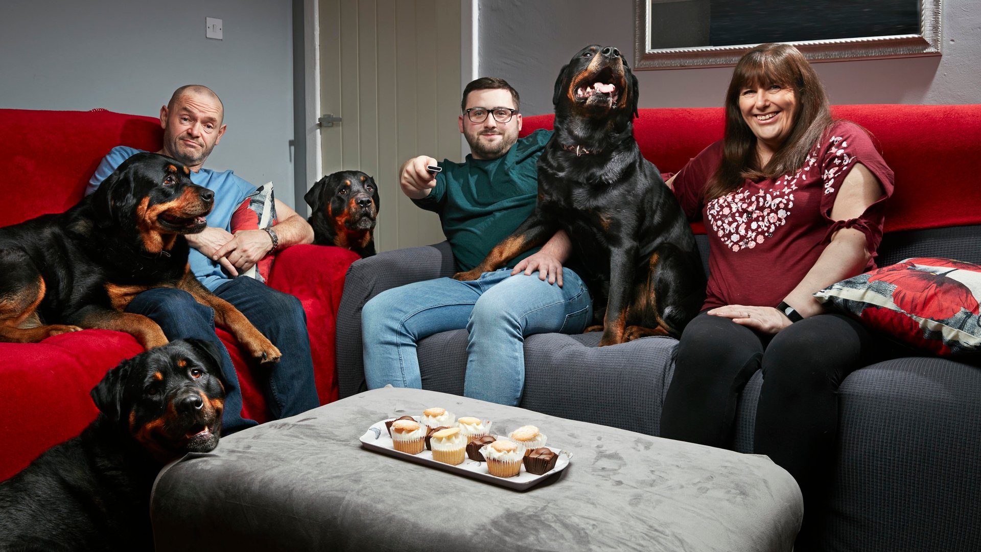 Gogglebox Series 12