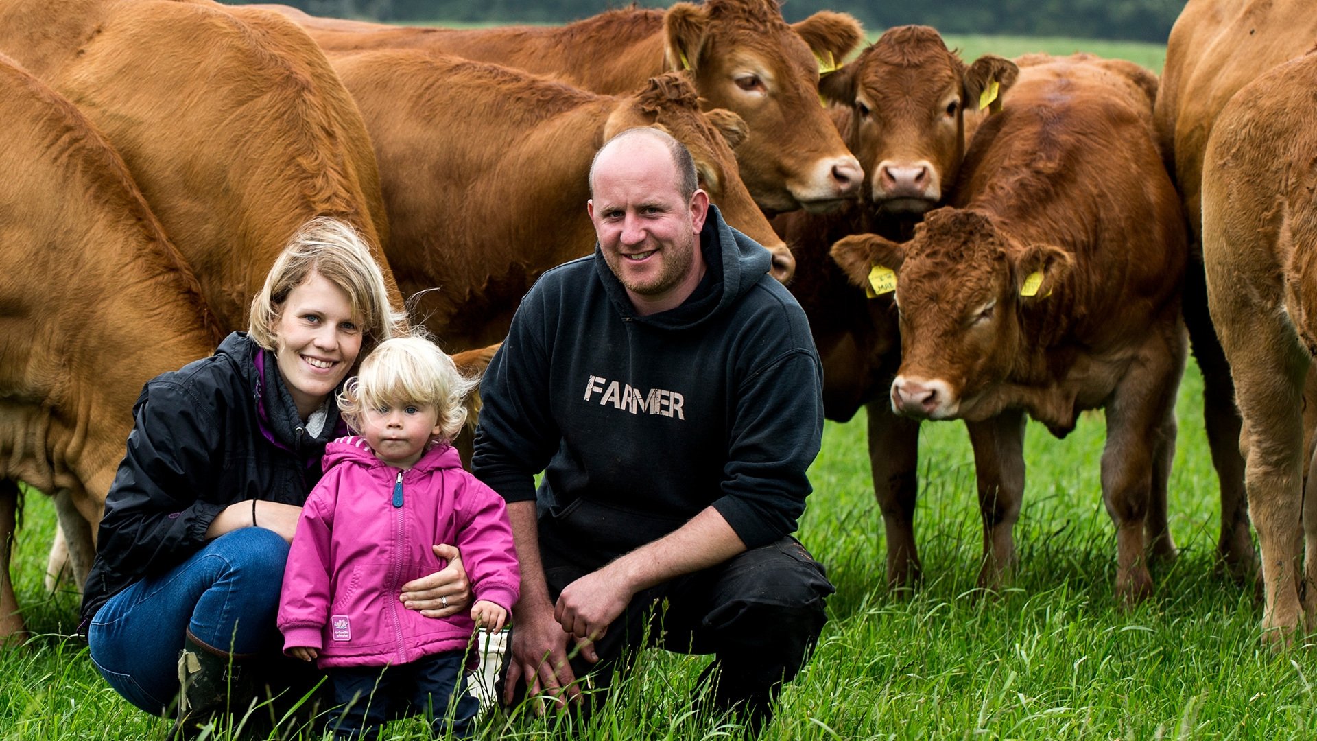 This Farming Life Season 1 Episode 12 : Episode 12
