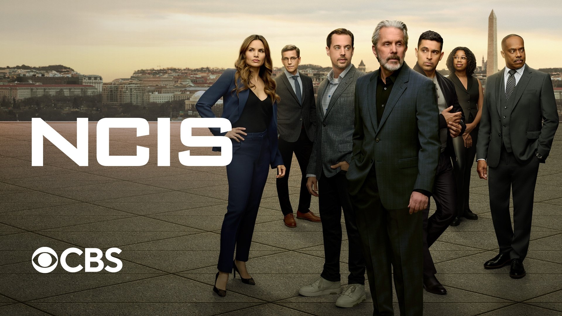 NCIS Season 16 Episode 16 : Bears and Cubs