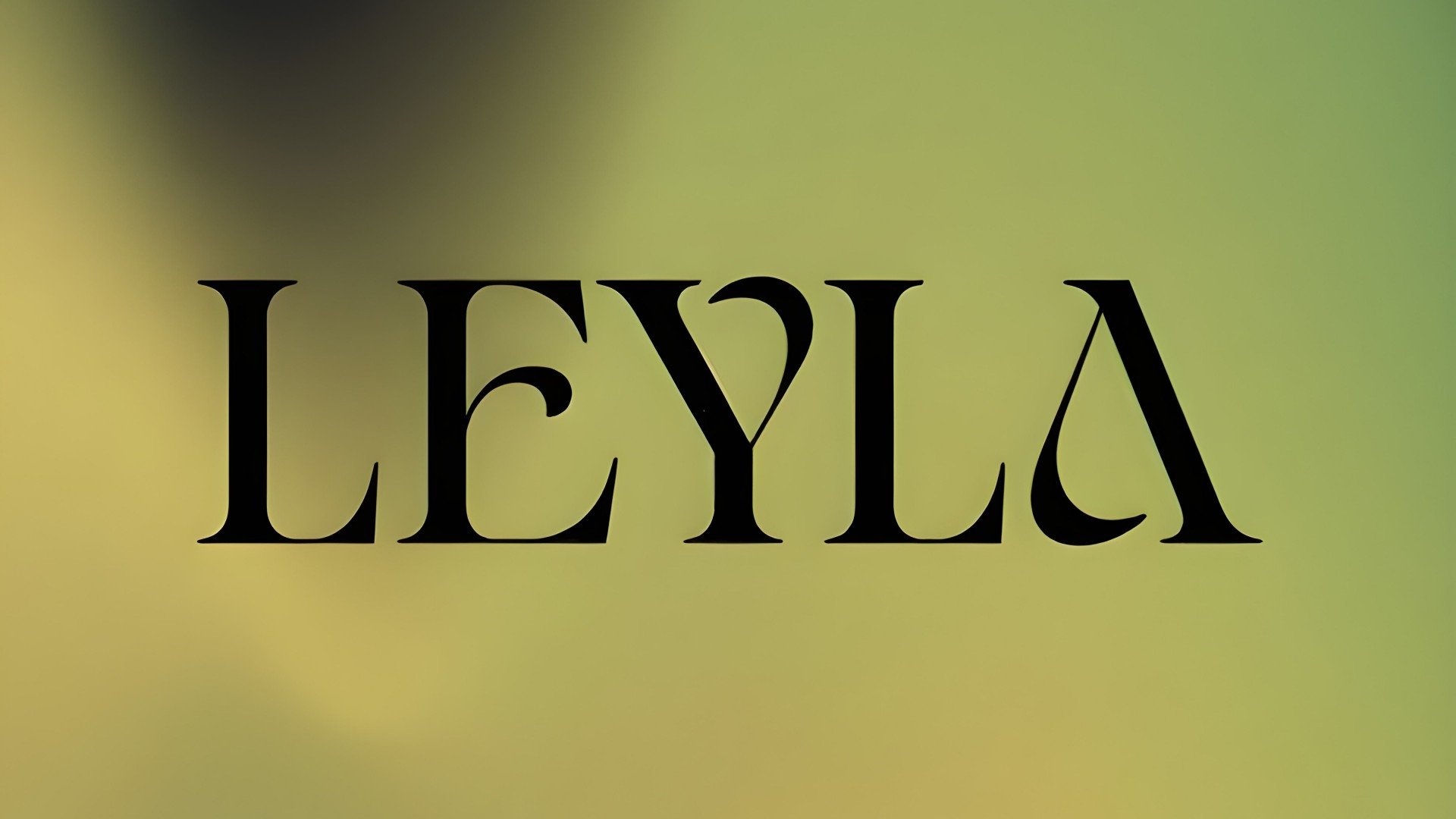 Leyla Season 1 Episode 13 : Episode 13