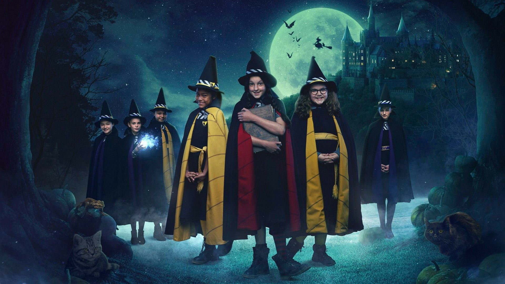 The Worst Witch Season 1 Episode 6 : The Great Wizard's Visit