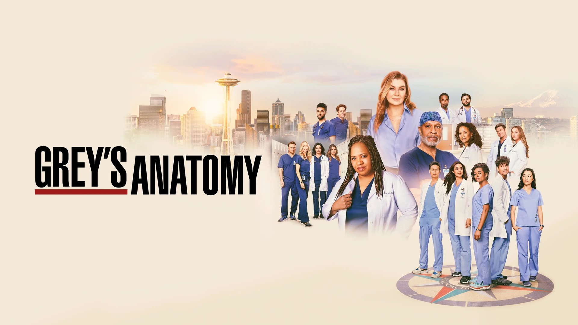 Grey's Anatomy Season 13 Episode 19 : What's Inside