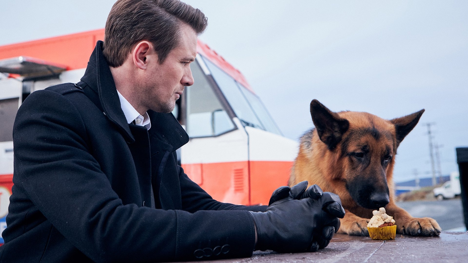Hudson & Rex Season 5 Episode 7 : The Date Escape