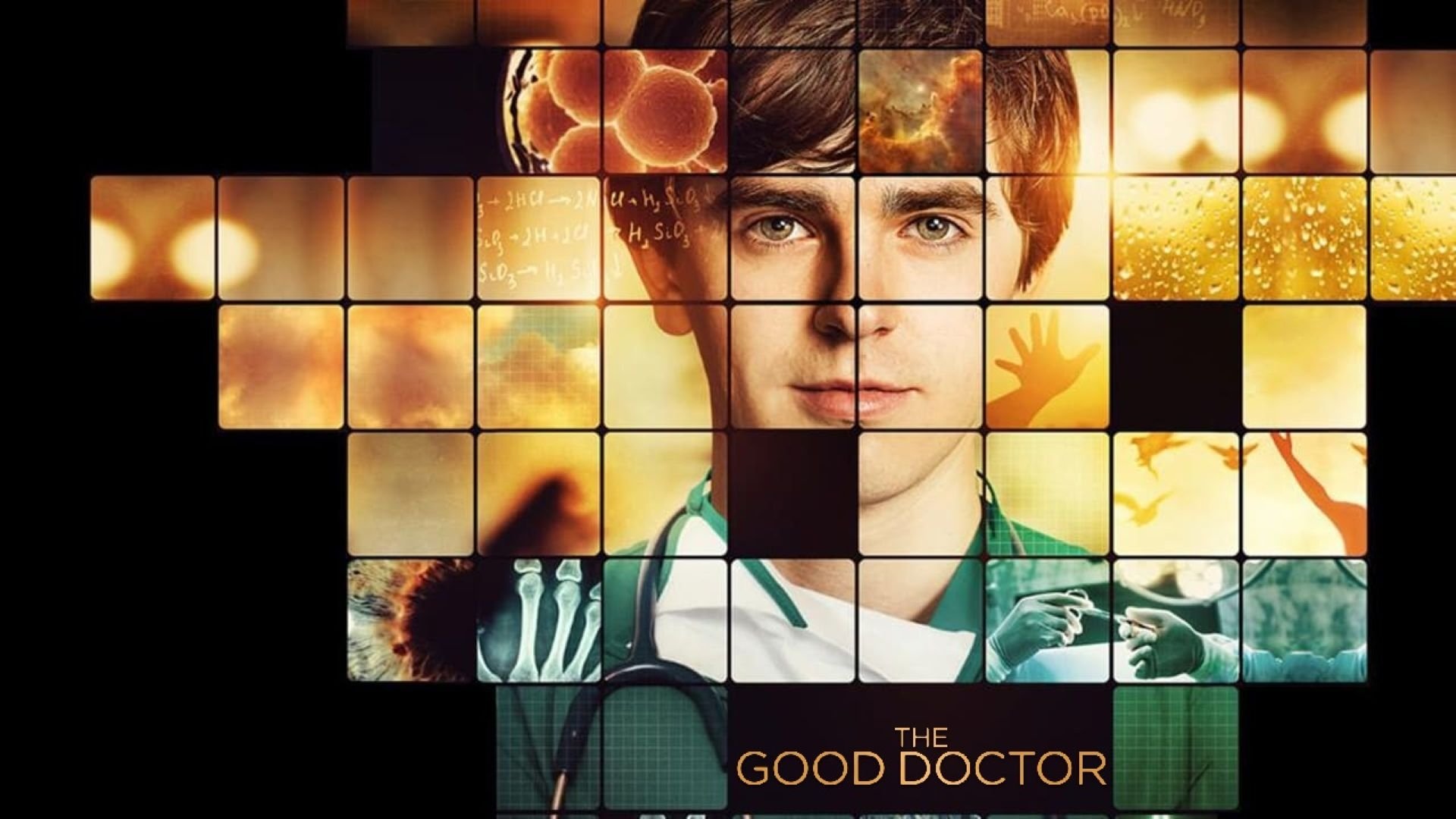 The Good Doctor Season 6 Episode 12 : 365 Degrees
