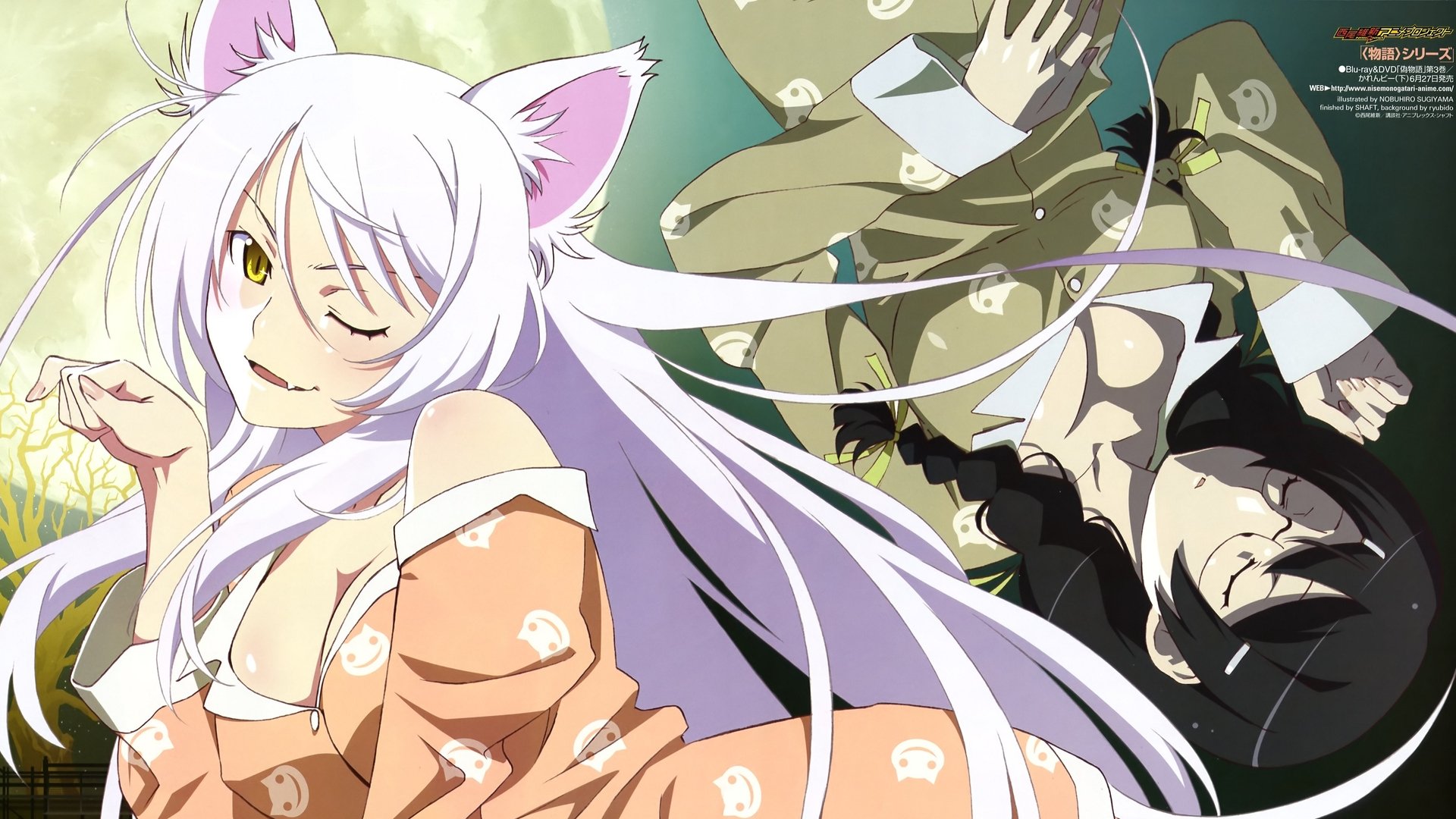 Monogatari Season 1 Episode 11 : Tsubasa Cat (1)