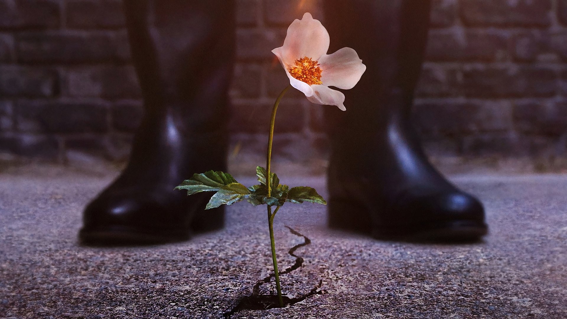 The Man in the High Castle Season 4 Episode 1 : Hexagram 64