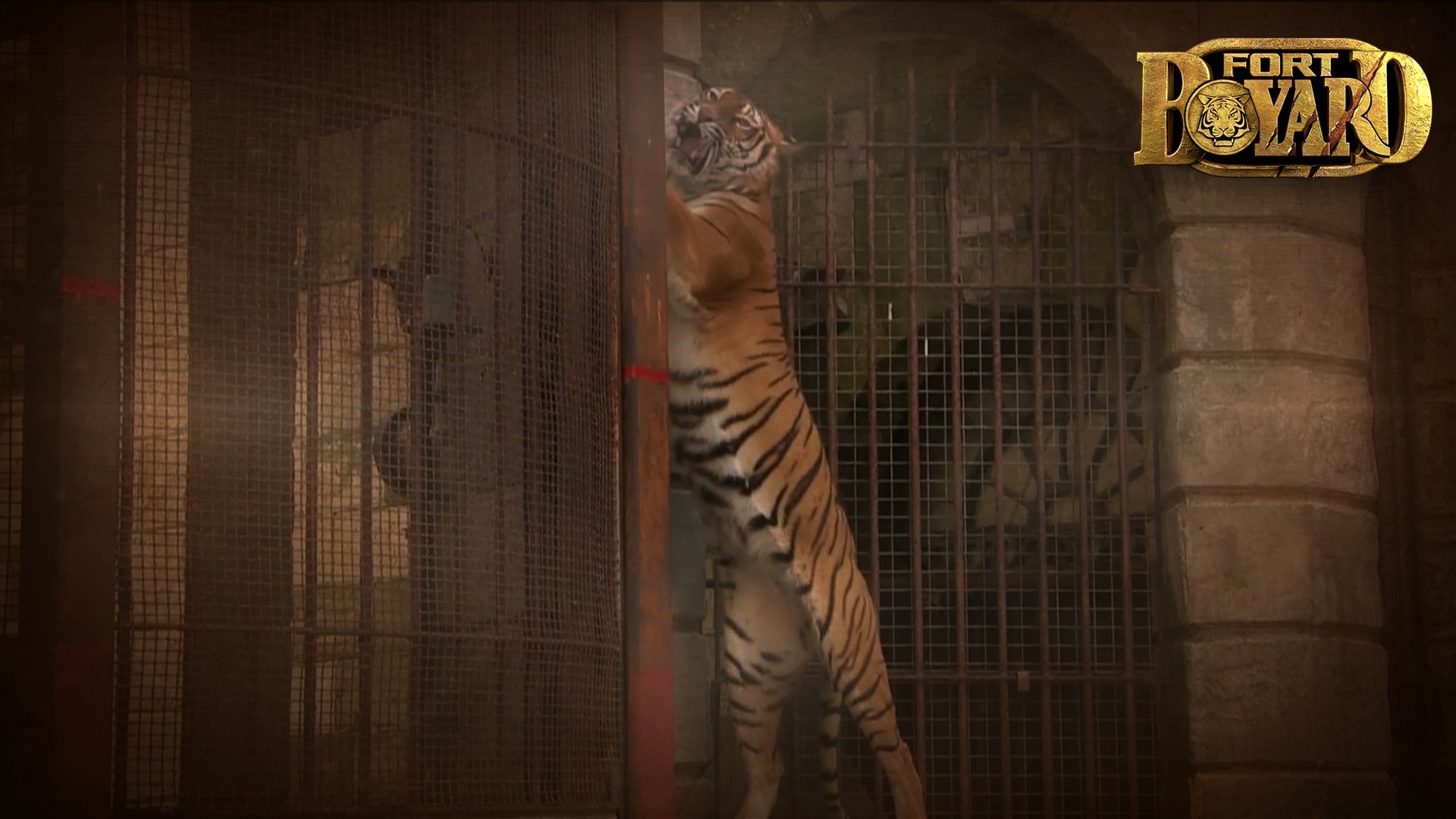 Fort Boyard Season 17