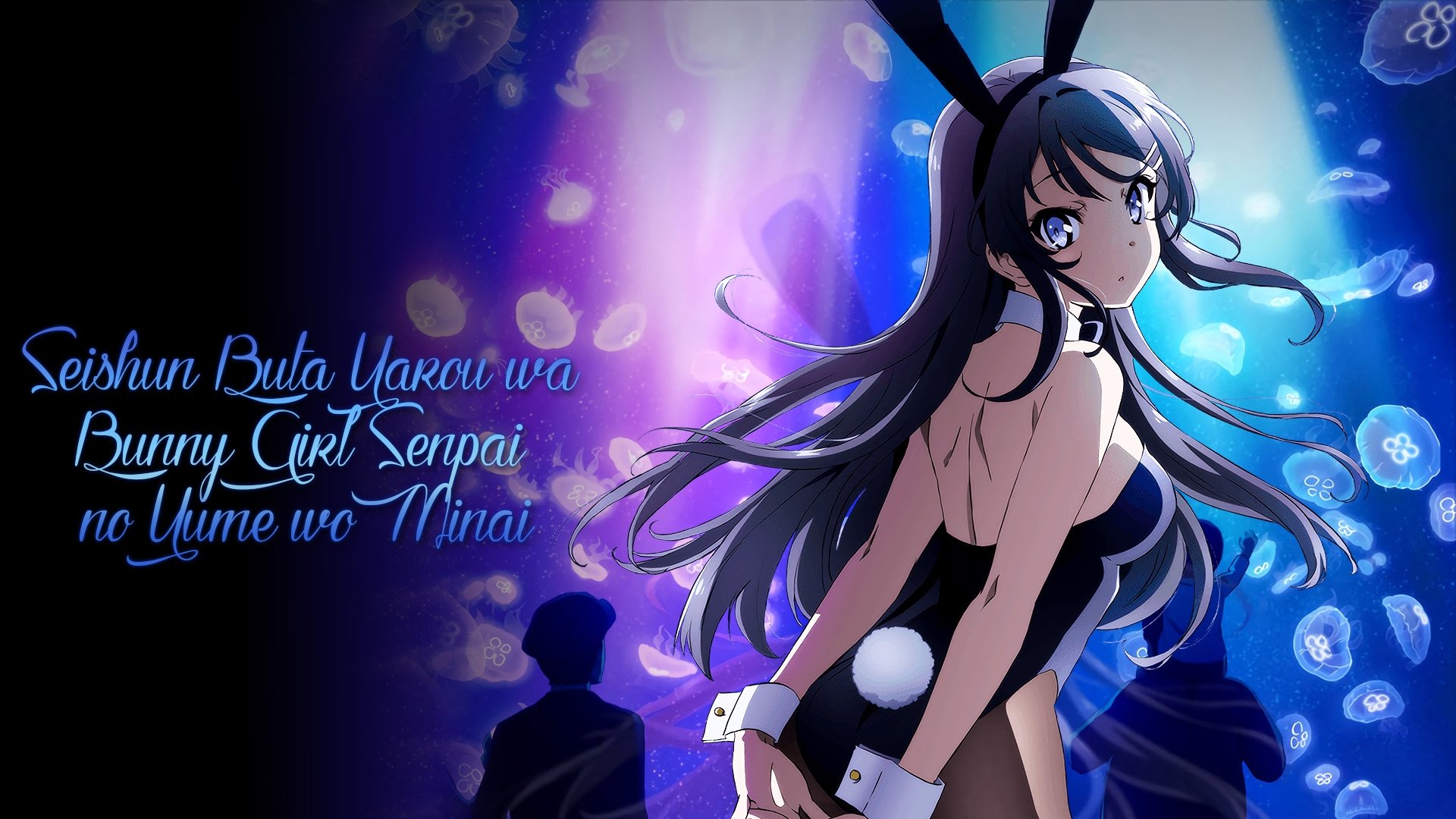 Rascal Does Not Dream of Bunny Girl Senpai Season 1 Episode 11 : The Kaede Quest