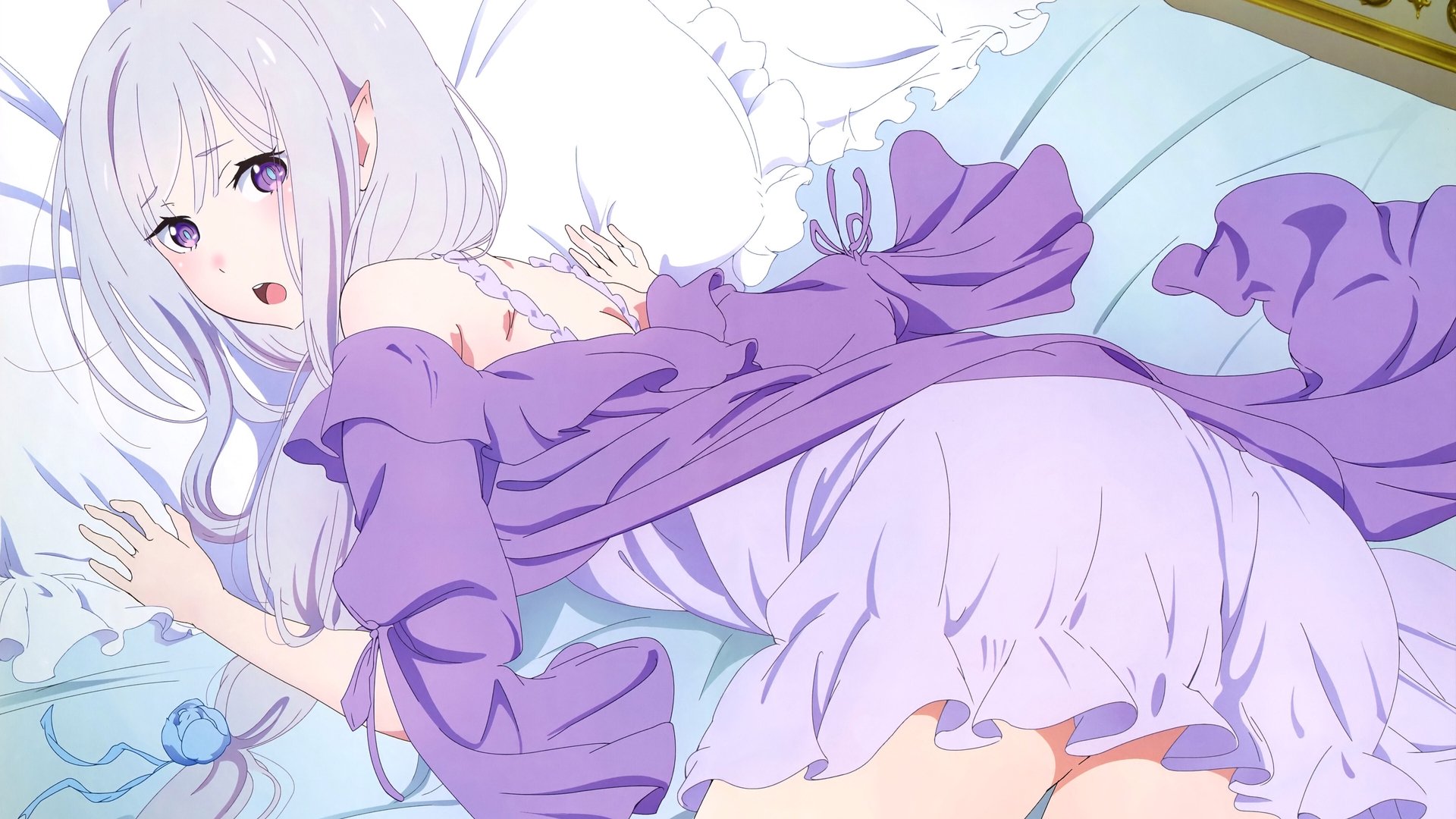 Re:ZERO -Starting Life in Another World- Season 1 Episode 5 : The Morning of Our Promise Is Still Distant