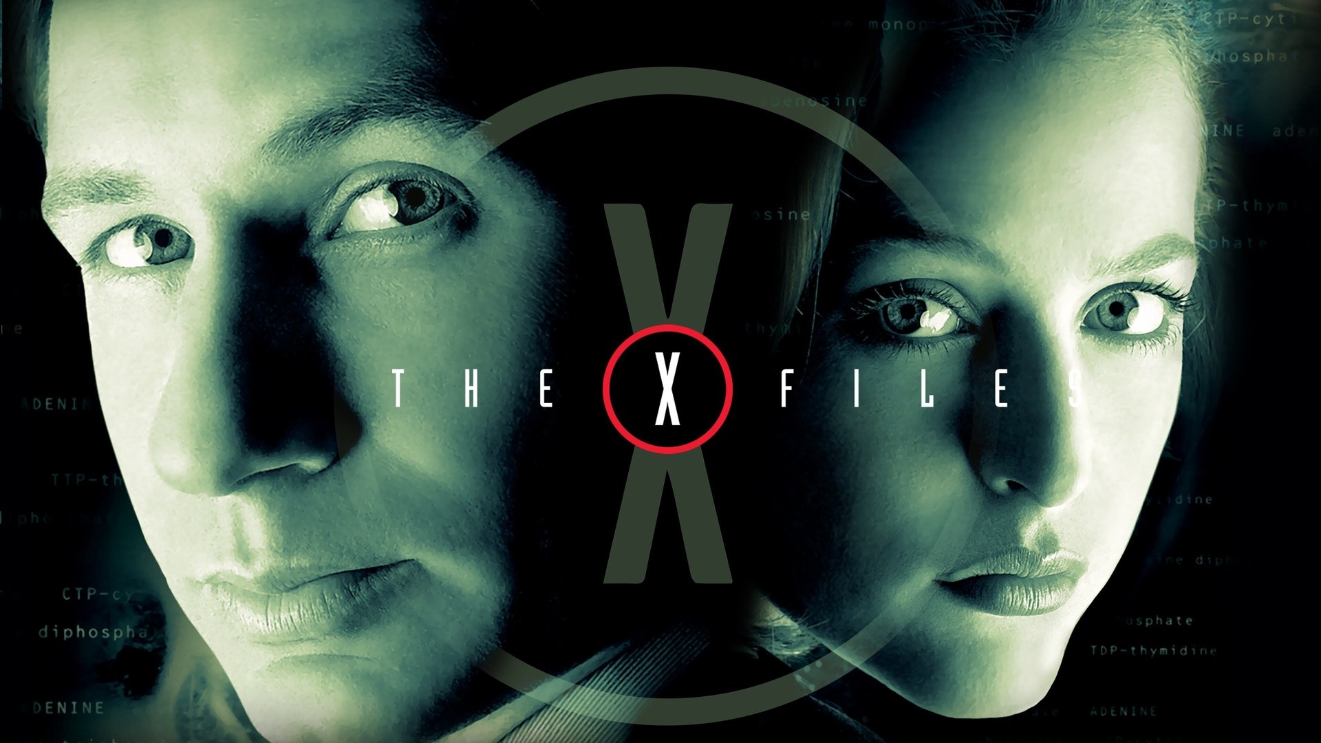 The X-Files Season 1 Episode 7 : Ghost in the Machine