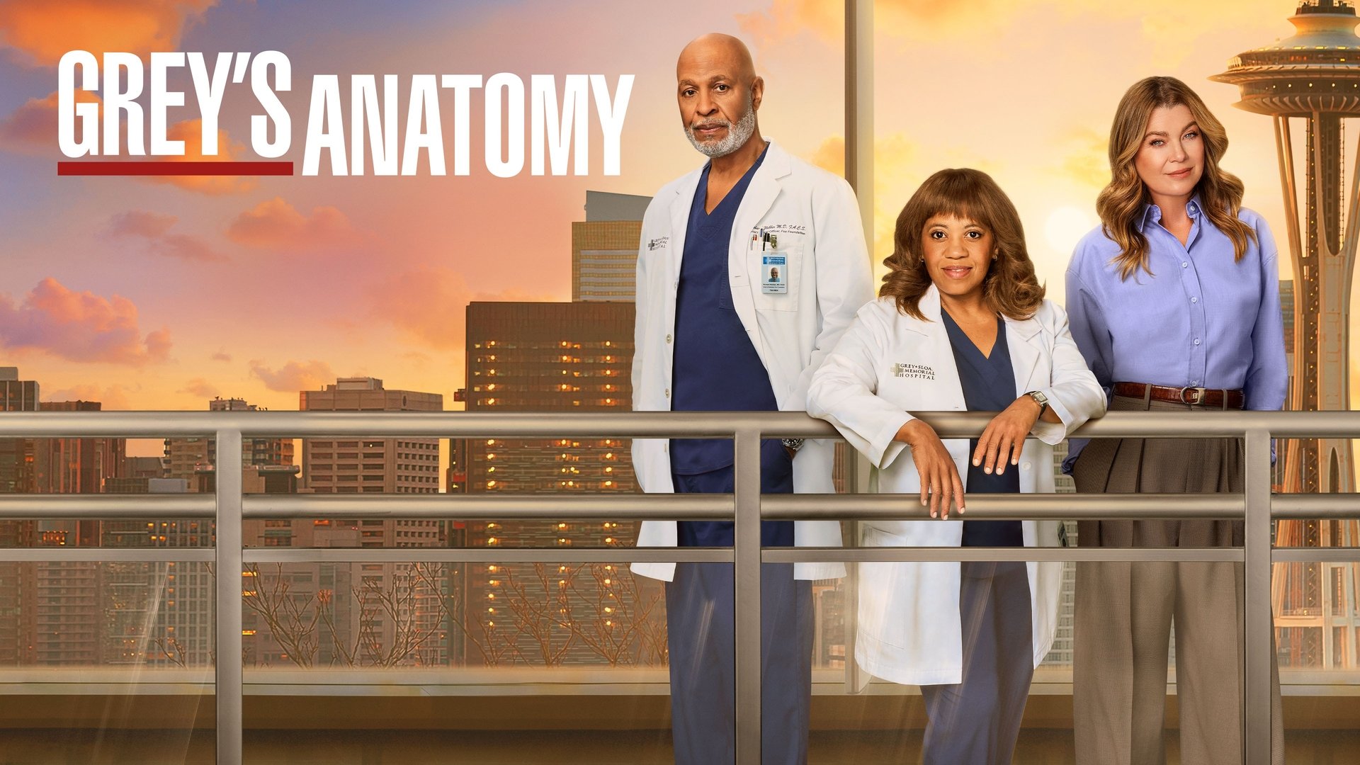 Grey's Anatomy Season 13 Episode 16 : Who Is He (And What Is He To You)?