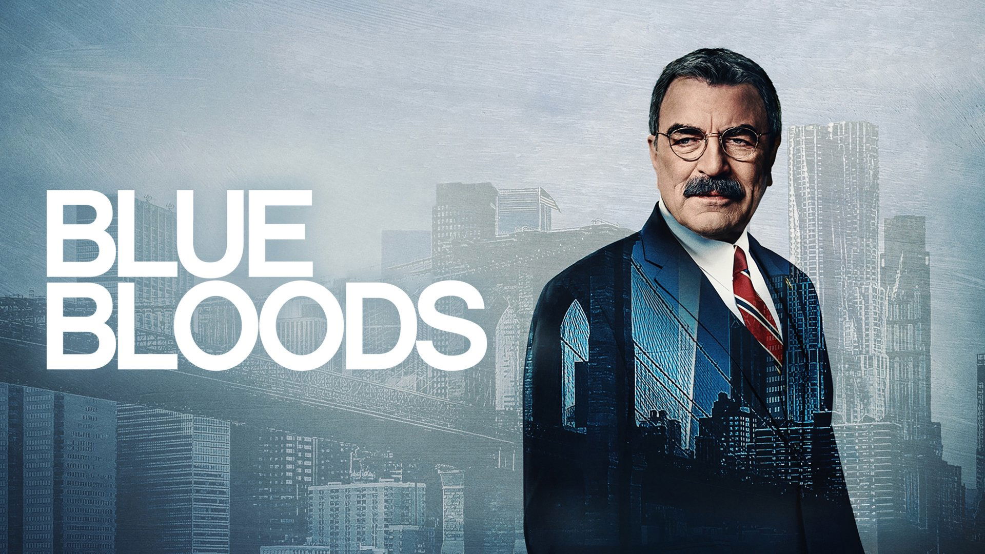 Blue Bloods Season 1 Episode 19 : Model Behavior