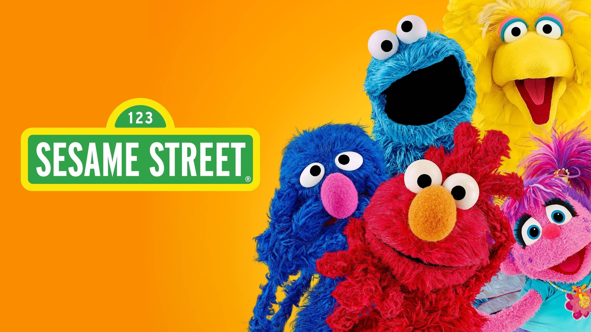 Sesame Street Season 21 Episode 8 : Episode 607