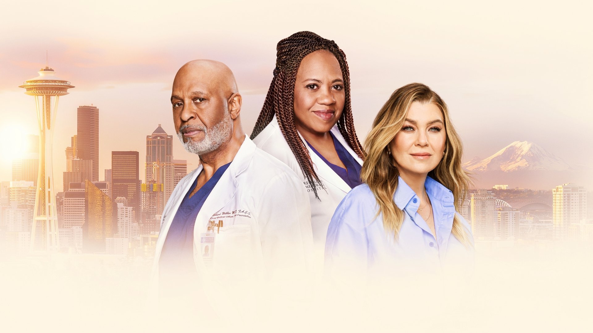 Grey's Anatomy Season 6 Episode 7 : Give Peace a Chance