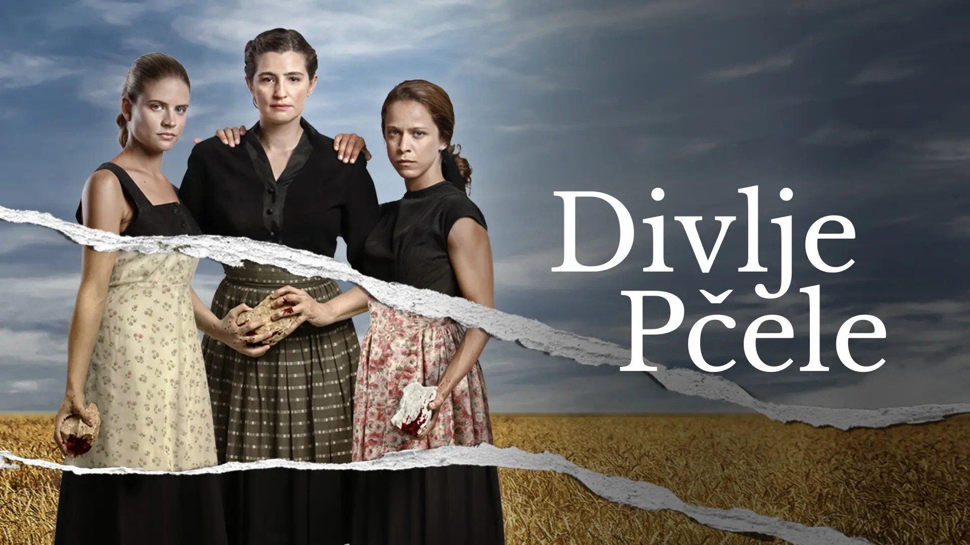 Divlje pÄele Season 1 Episode 12 : Episode 12