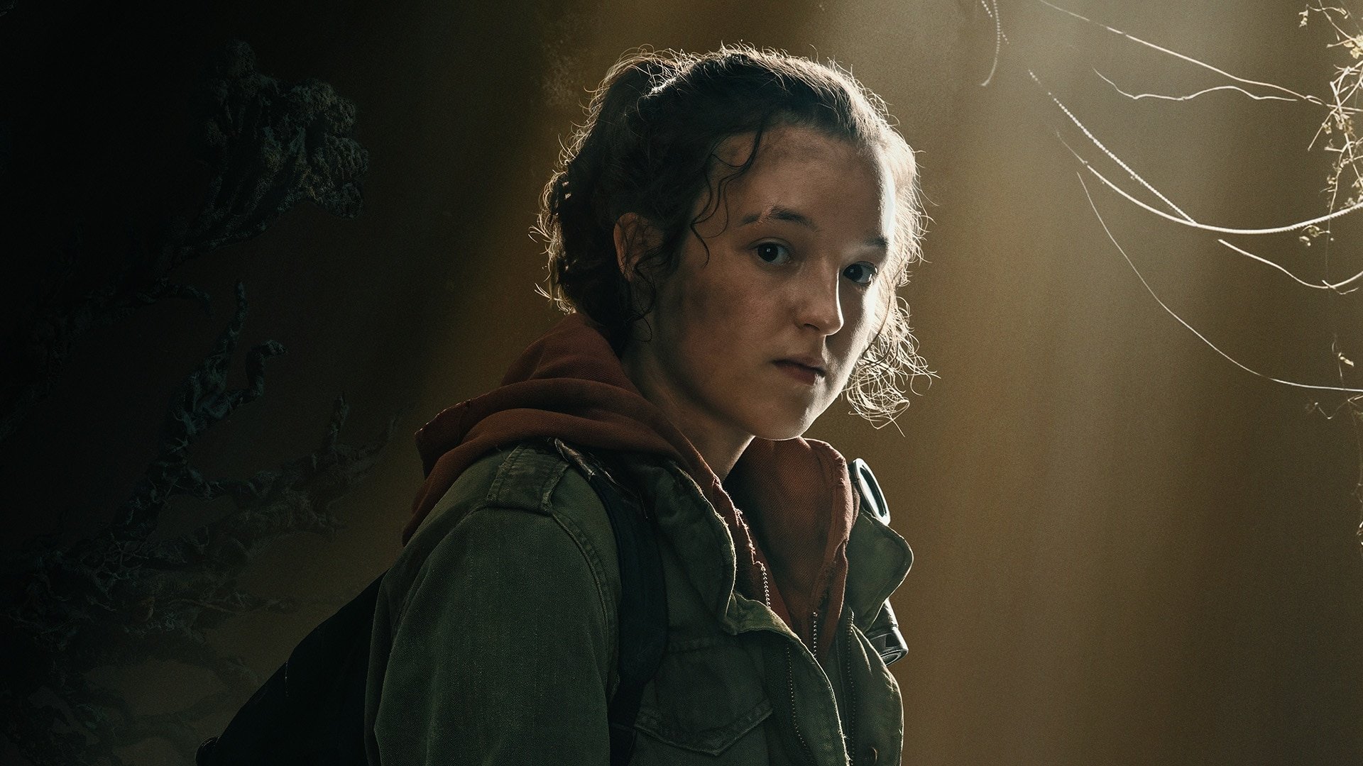 The Last of Us Season 2 Episode 3 : The Path