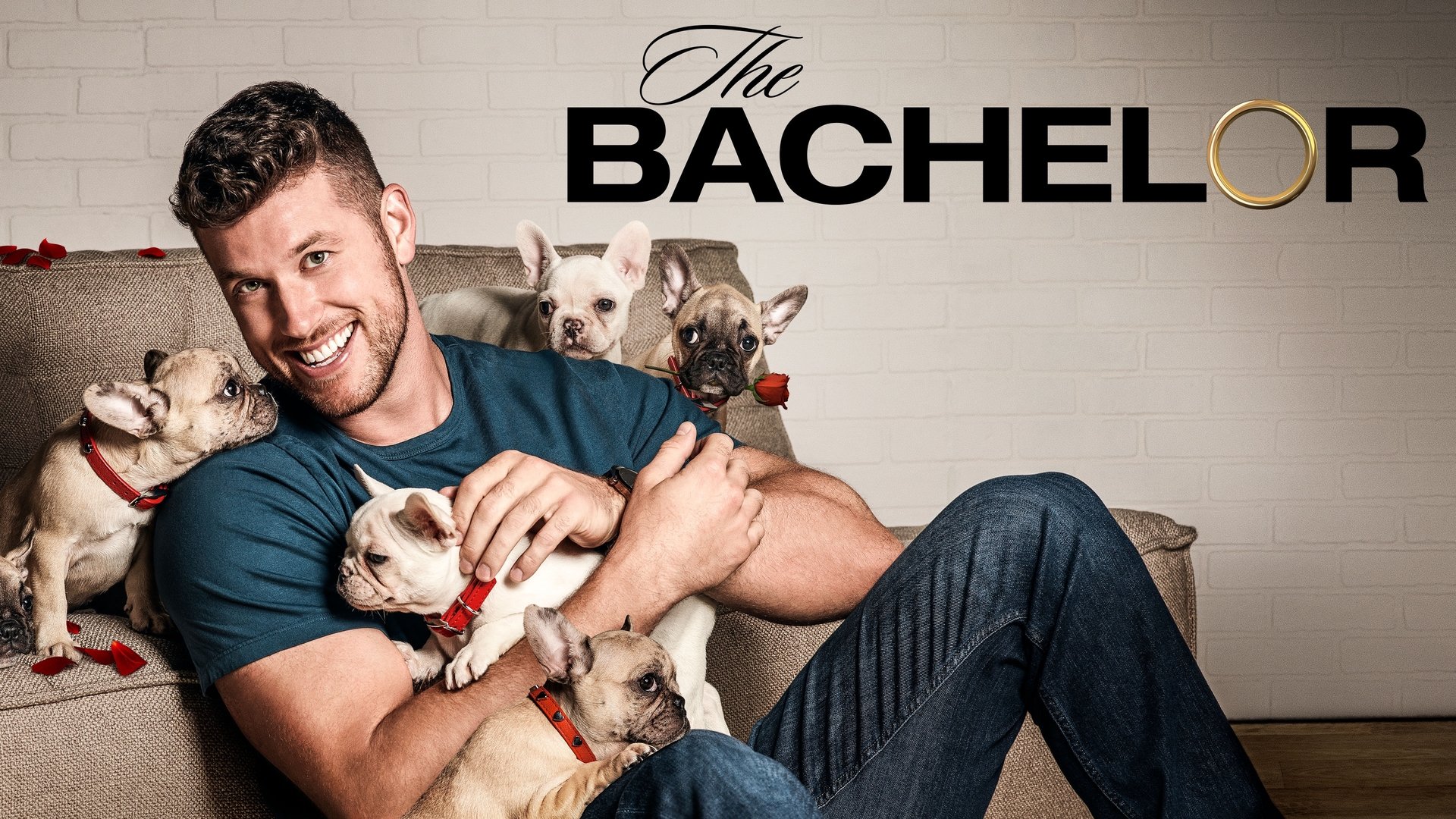 The Bachelor Season 3 Episode 8 : Week Seven (S3)
