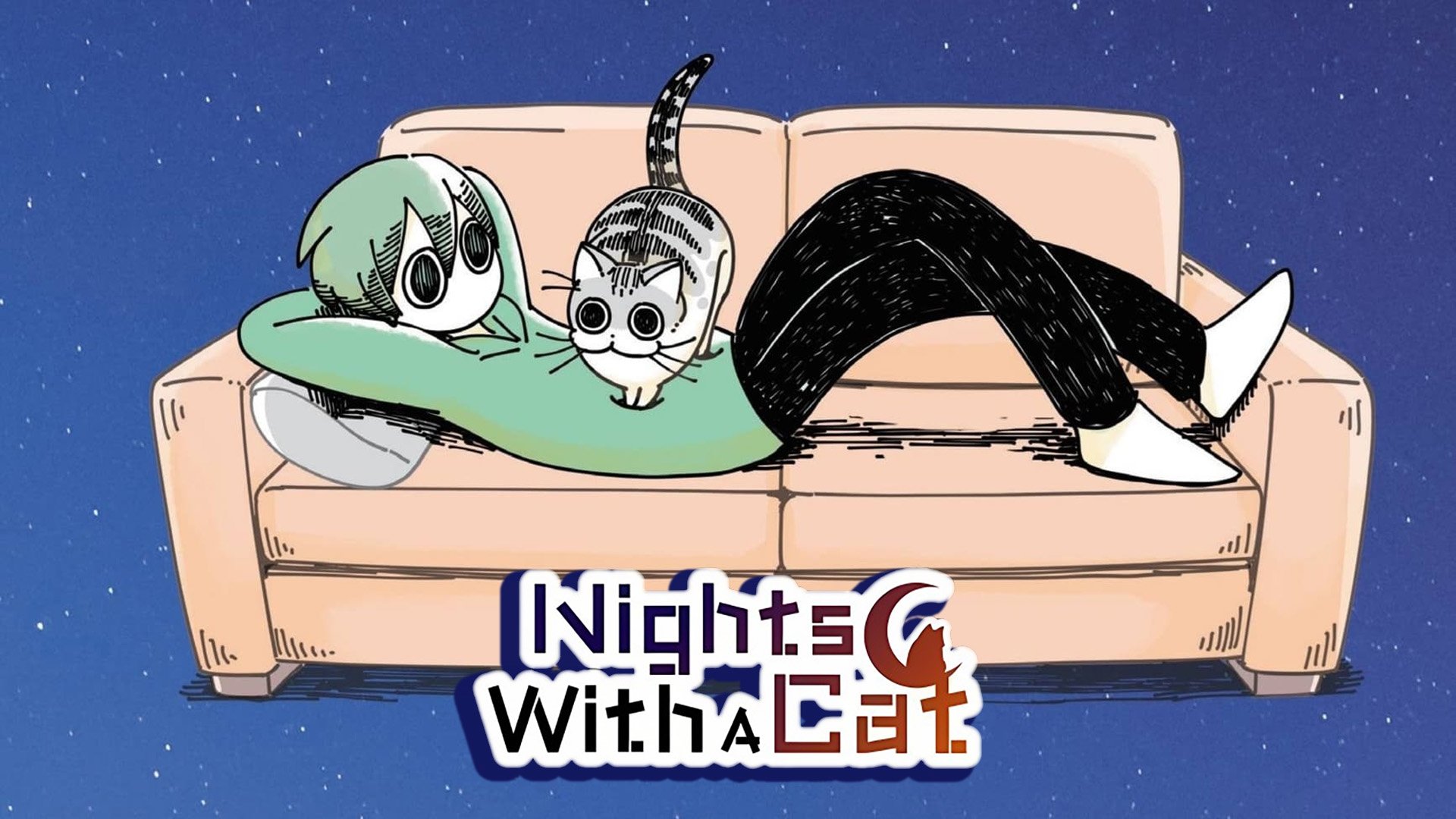 Nights with a Cat