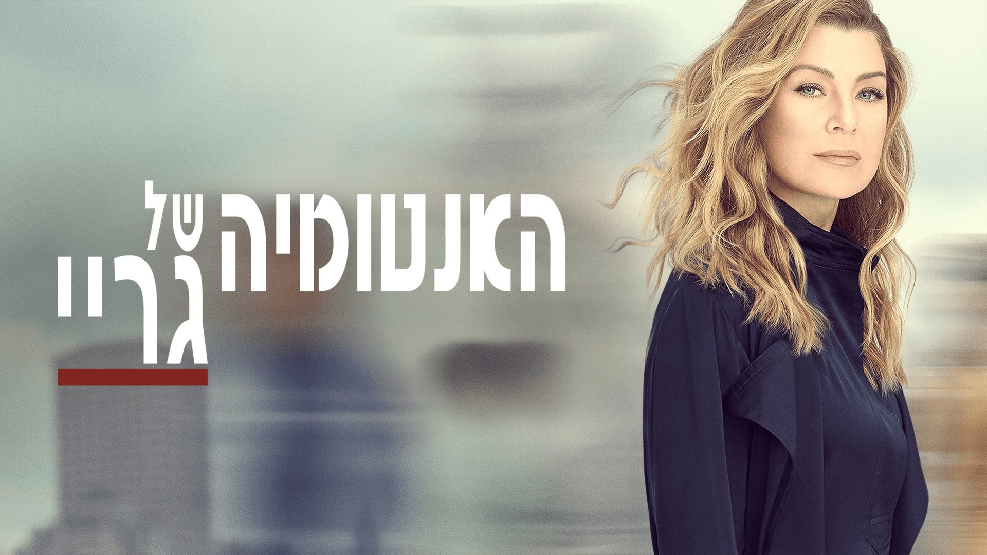 Grey's Anatomy Season 5 Episode 23 : Here's to Future Days