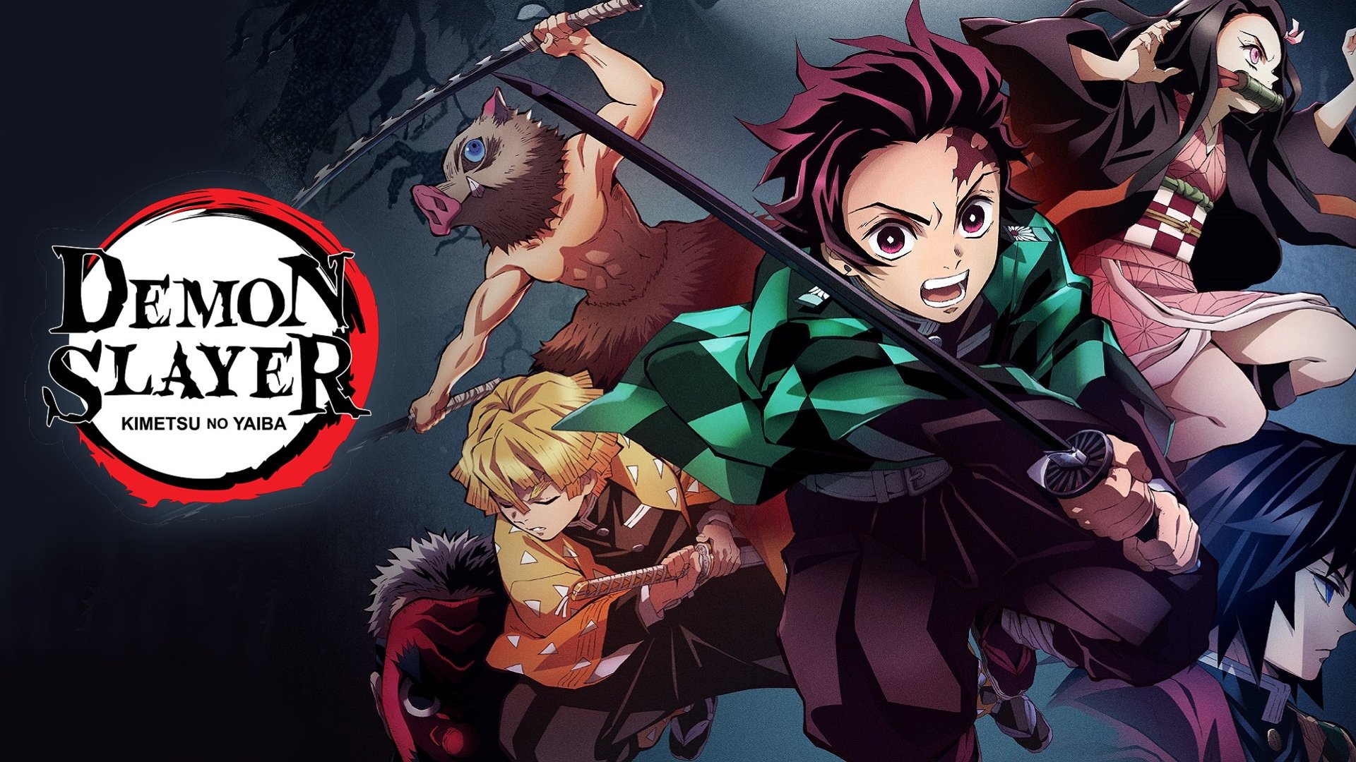 Demon Slayer: Kimetsu no Yaiba Season 1 Episode 13 : Something More Important Than Life