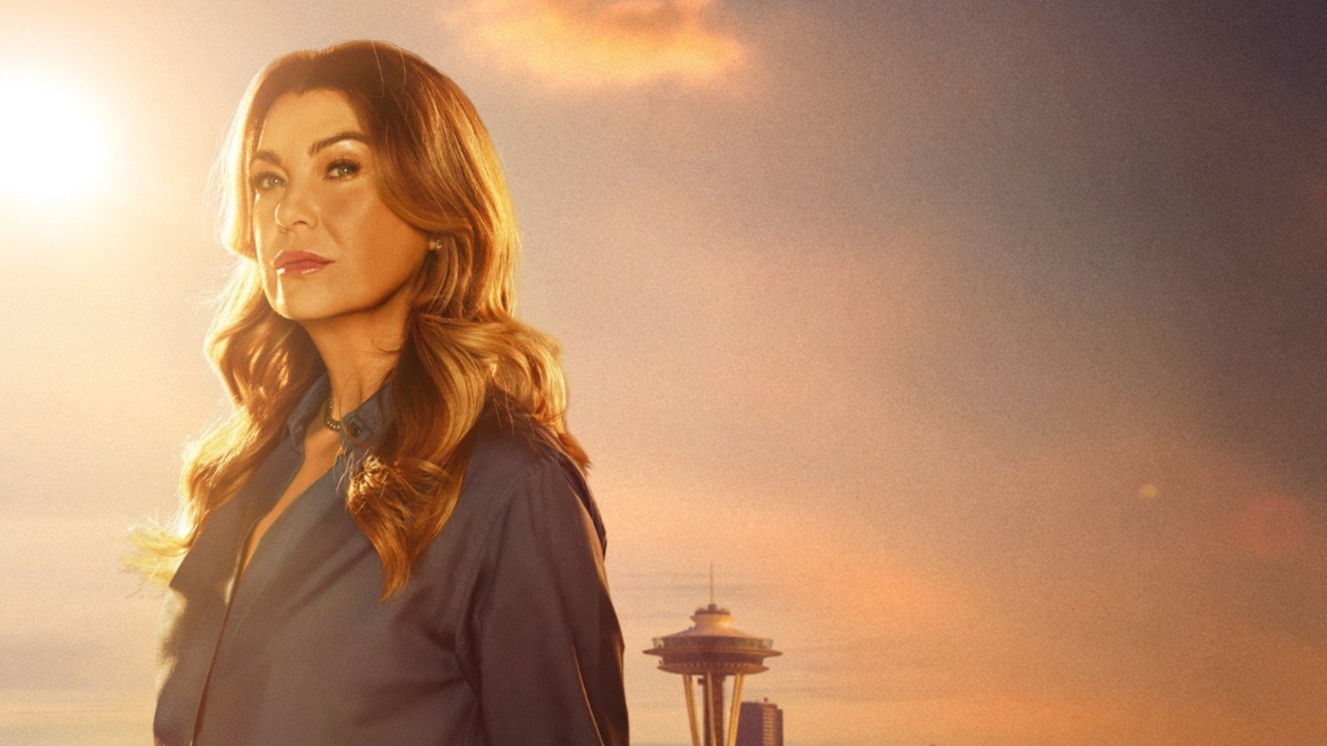 Grey's Anatomy Season 12 Episode 10 : All I Want Is You