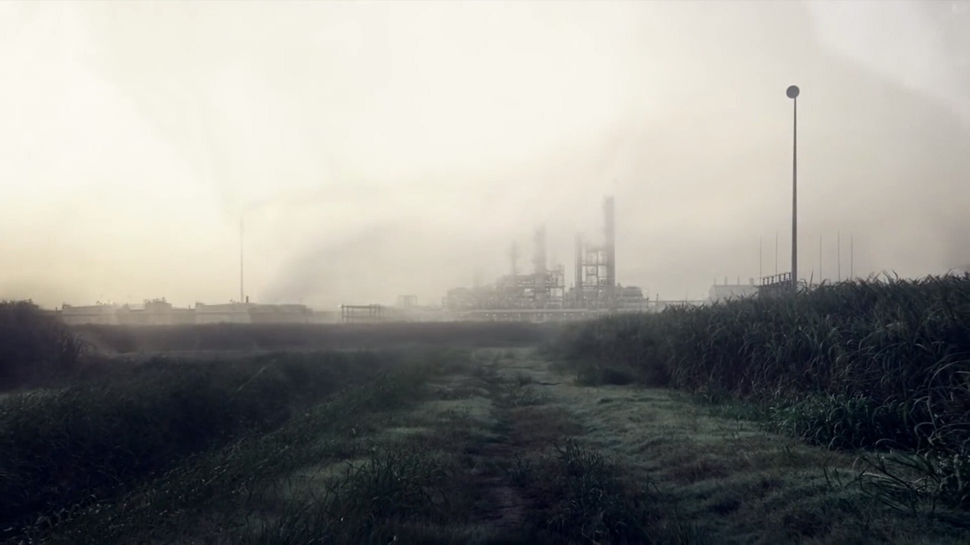 True Detective Season 2 Episode 1 : The Western Book of the Dead