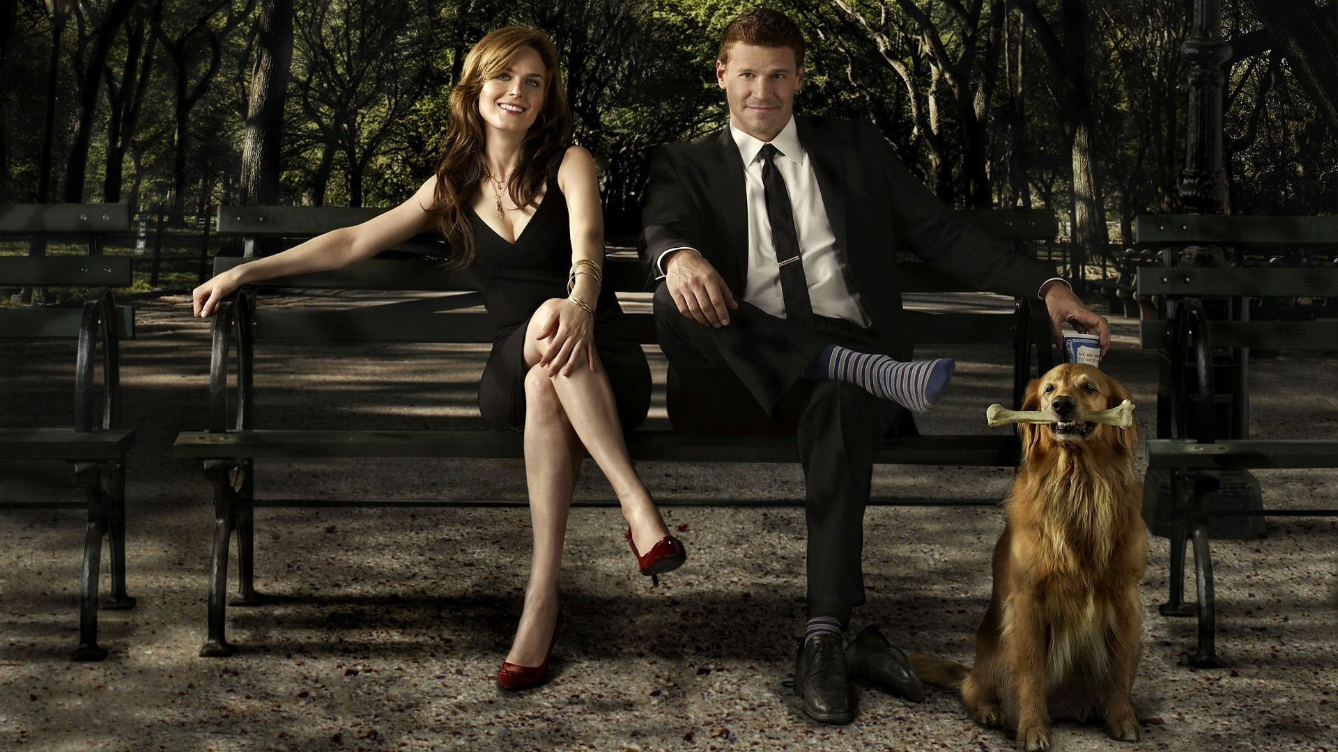 Bones Season 1 Episode 8 : The Girl in the Fridge