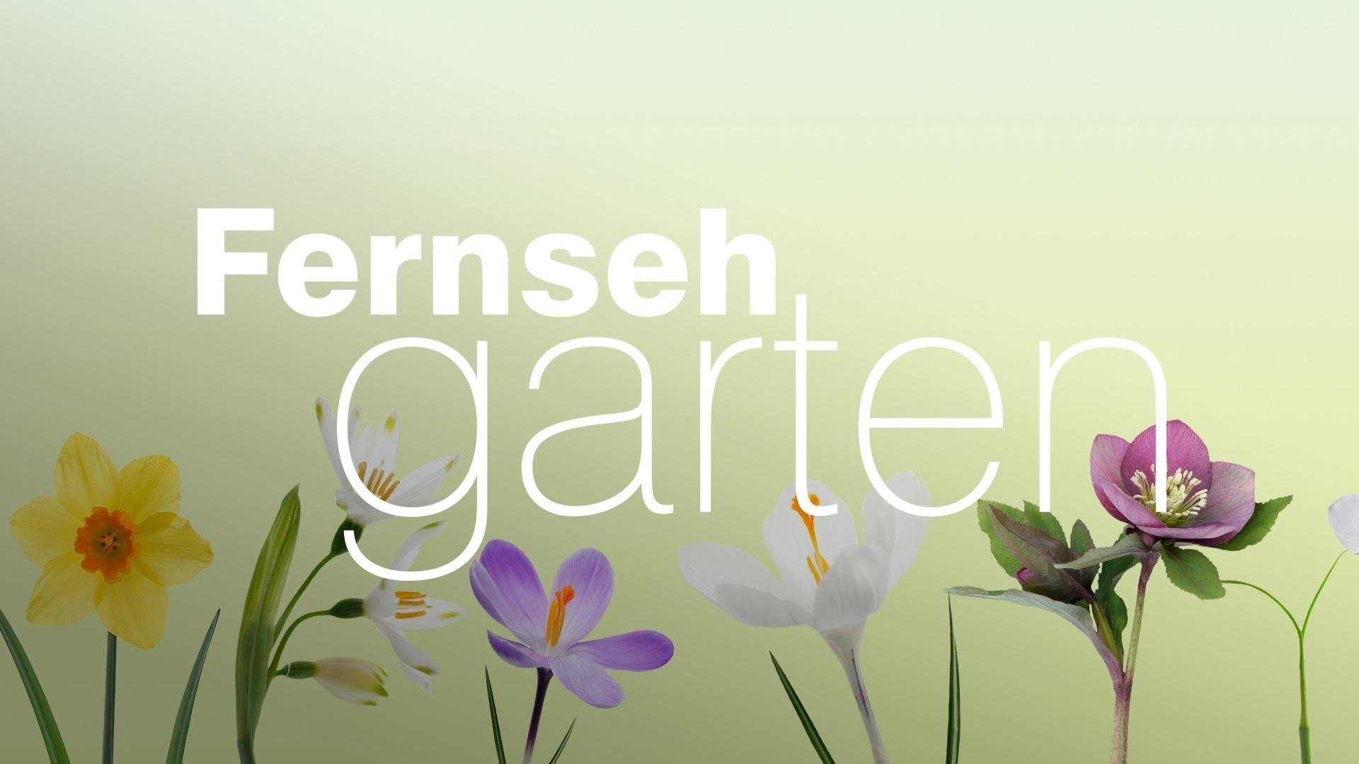 ZDF-Fernsehgarten Season 23