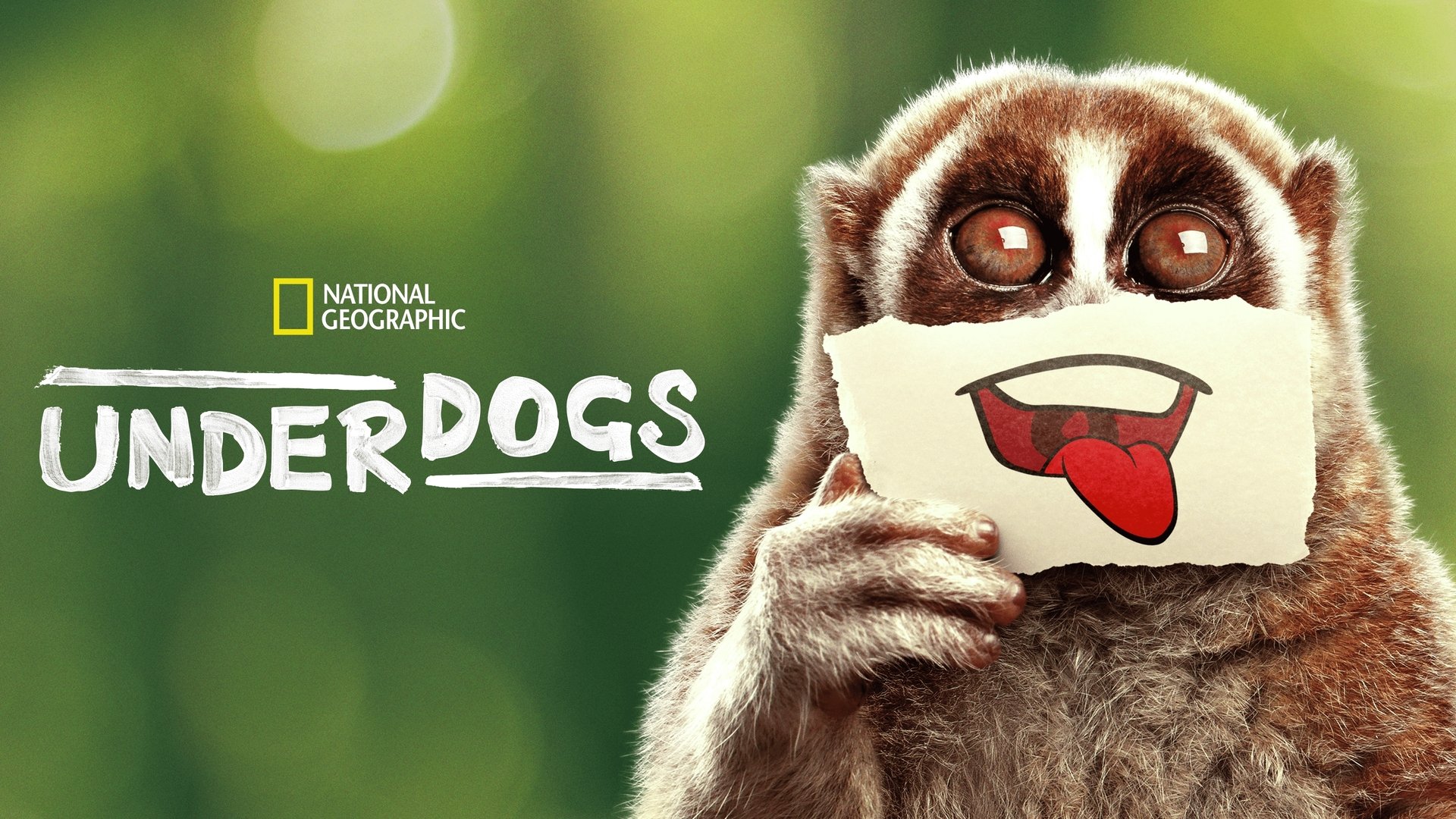 Underdogs Season 1 Episode 3 : Sexy Beasts