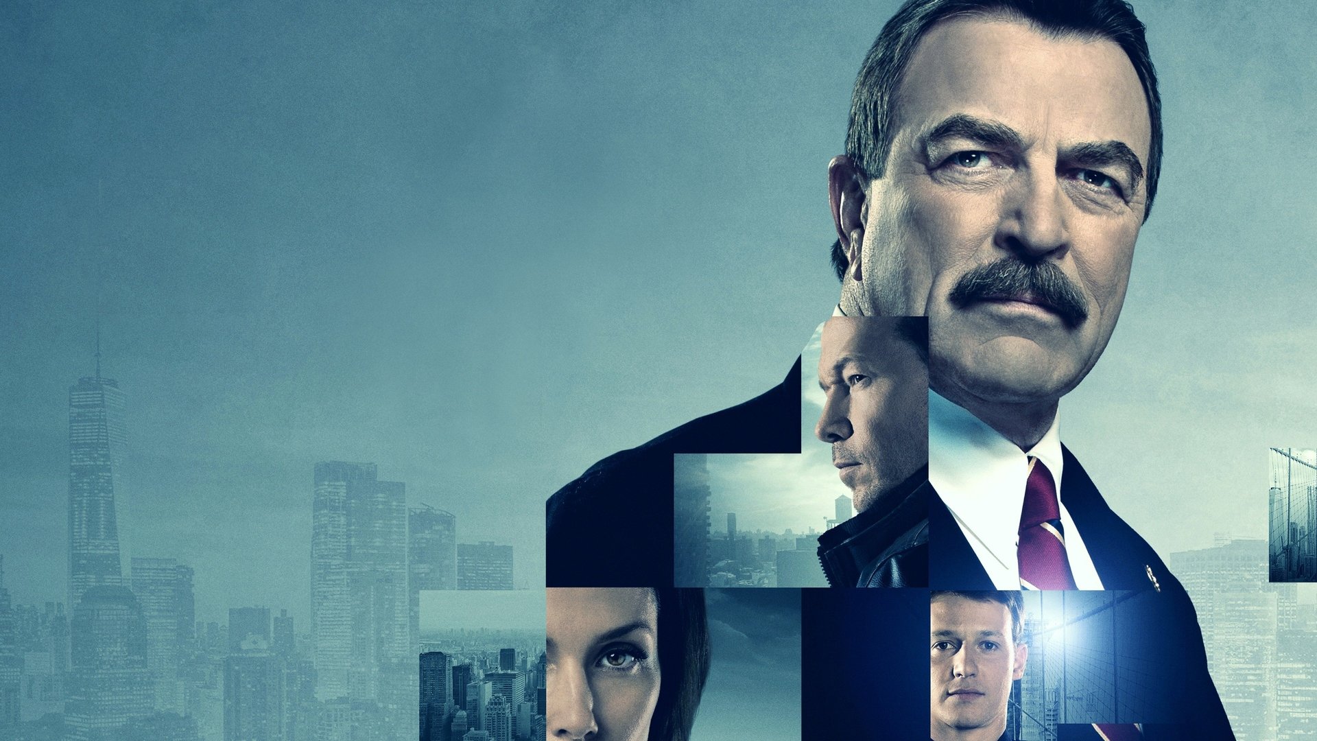 Blue Bloods Season 8