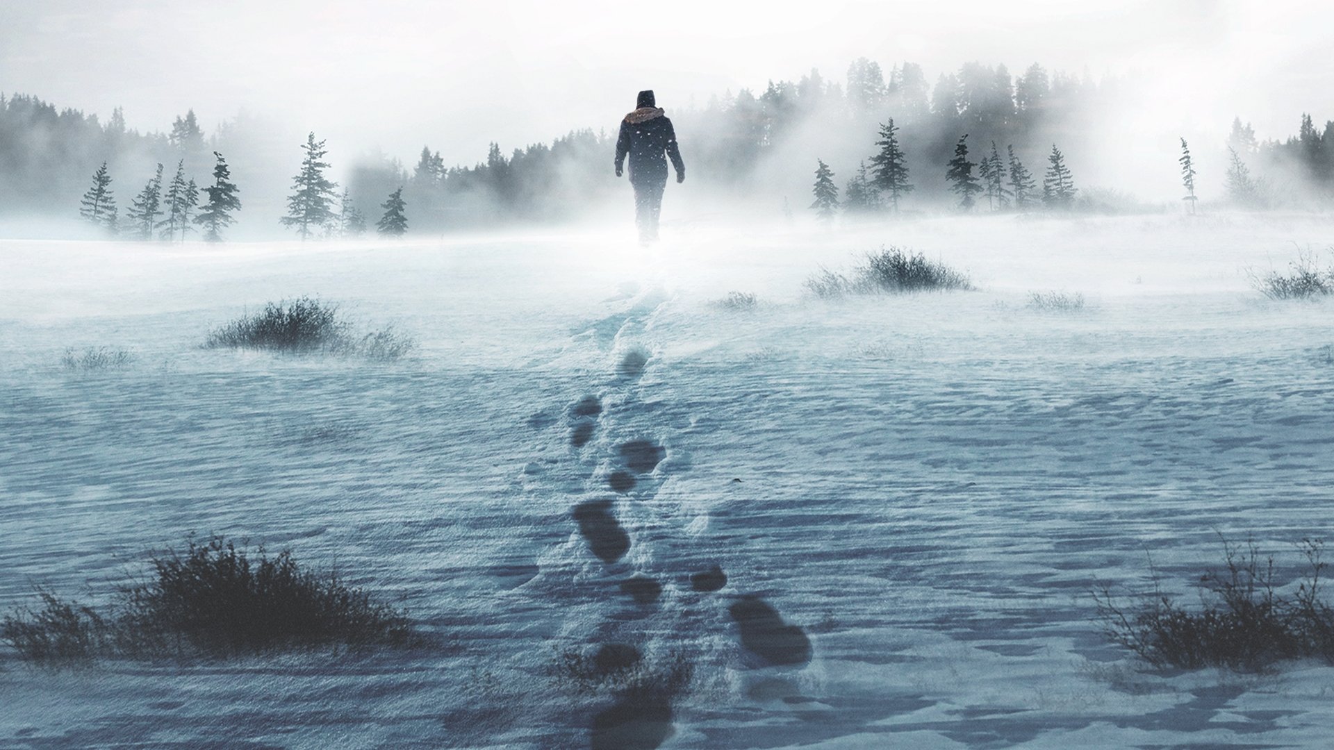 Alone Season 1