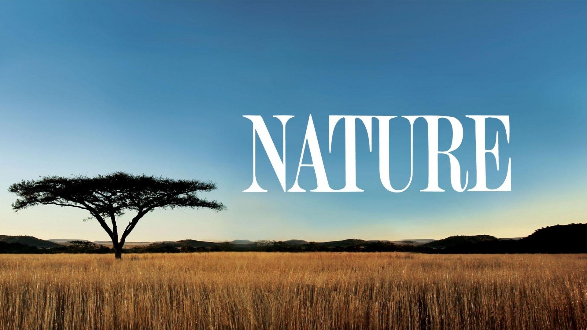 Nature Season 10 Episode 4 : Madagascar: Island of Ghosts