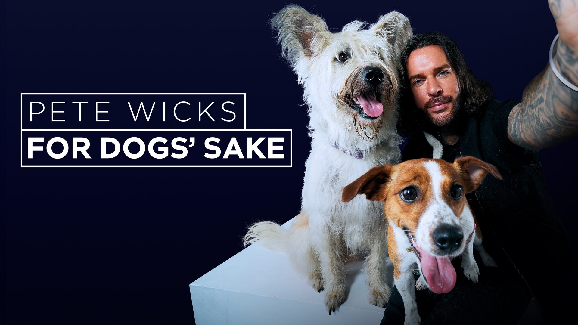 Pete Wicks: For Dogsâ Sake