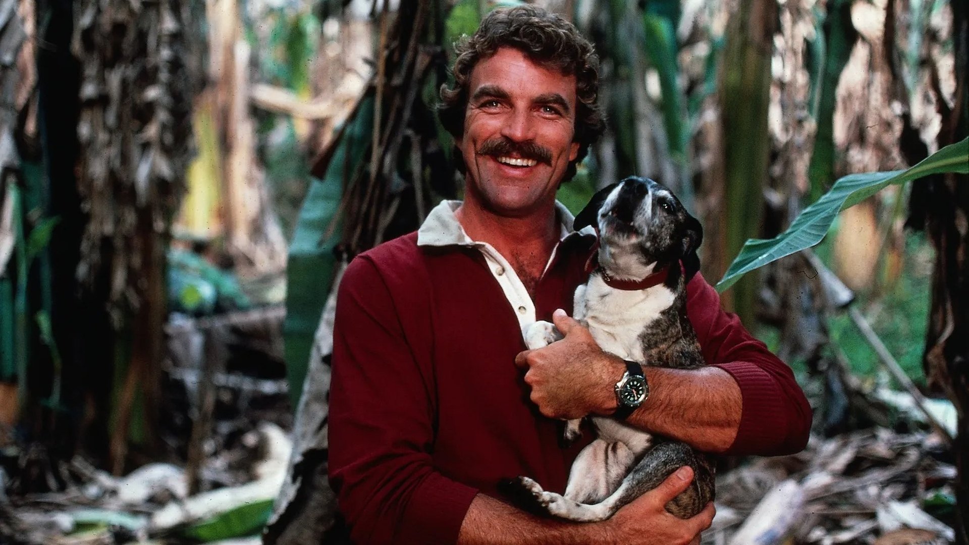 Magnum, P.I. Season 8 Episode 1 : Infinity and Jelly Doughnuts