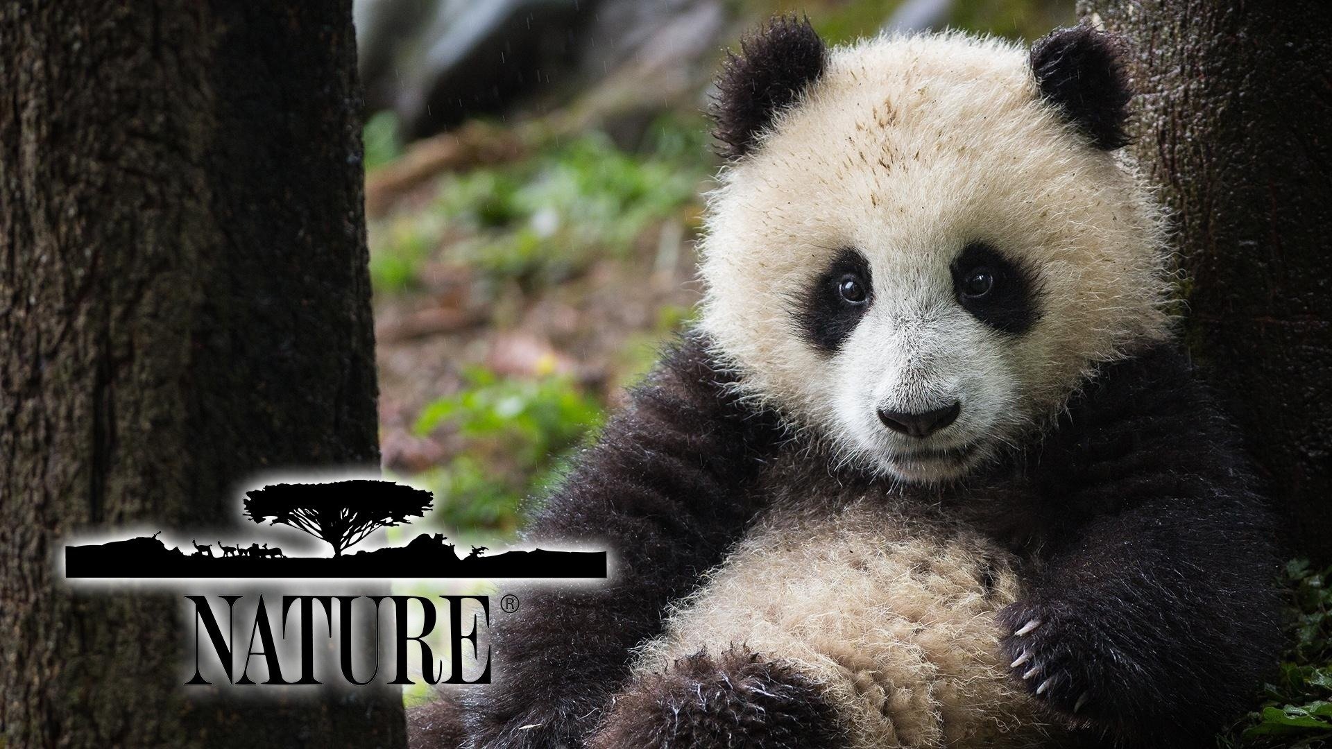 Nature Season 5