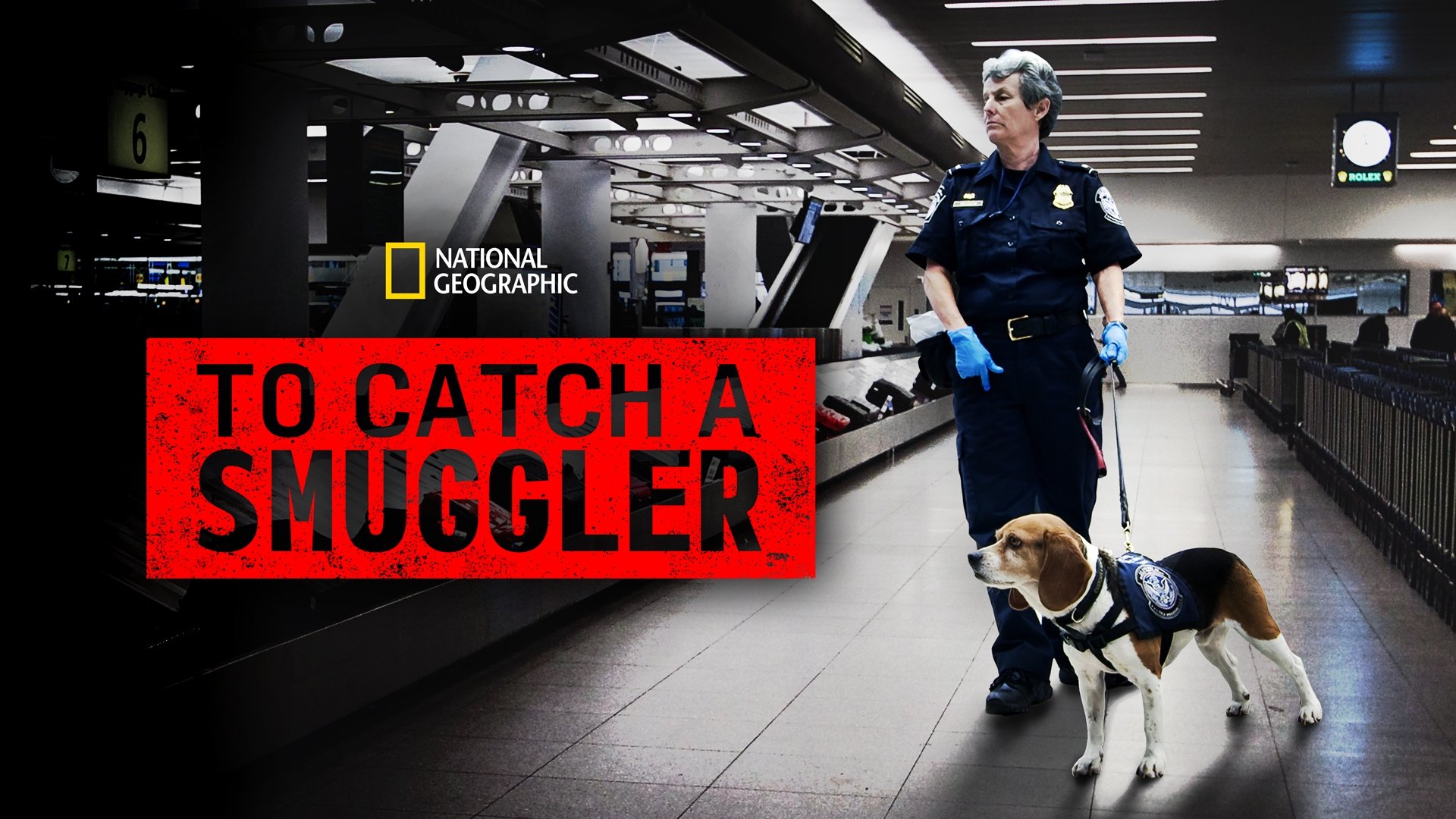 To Catch a Smuggler