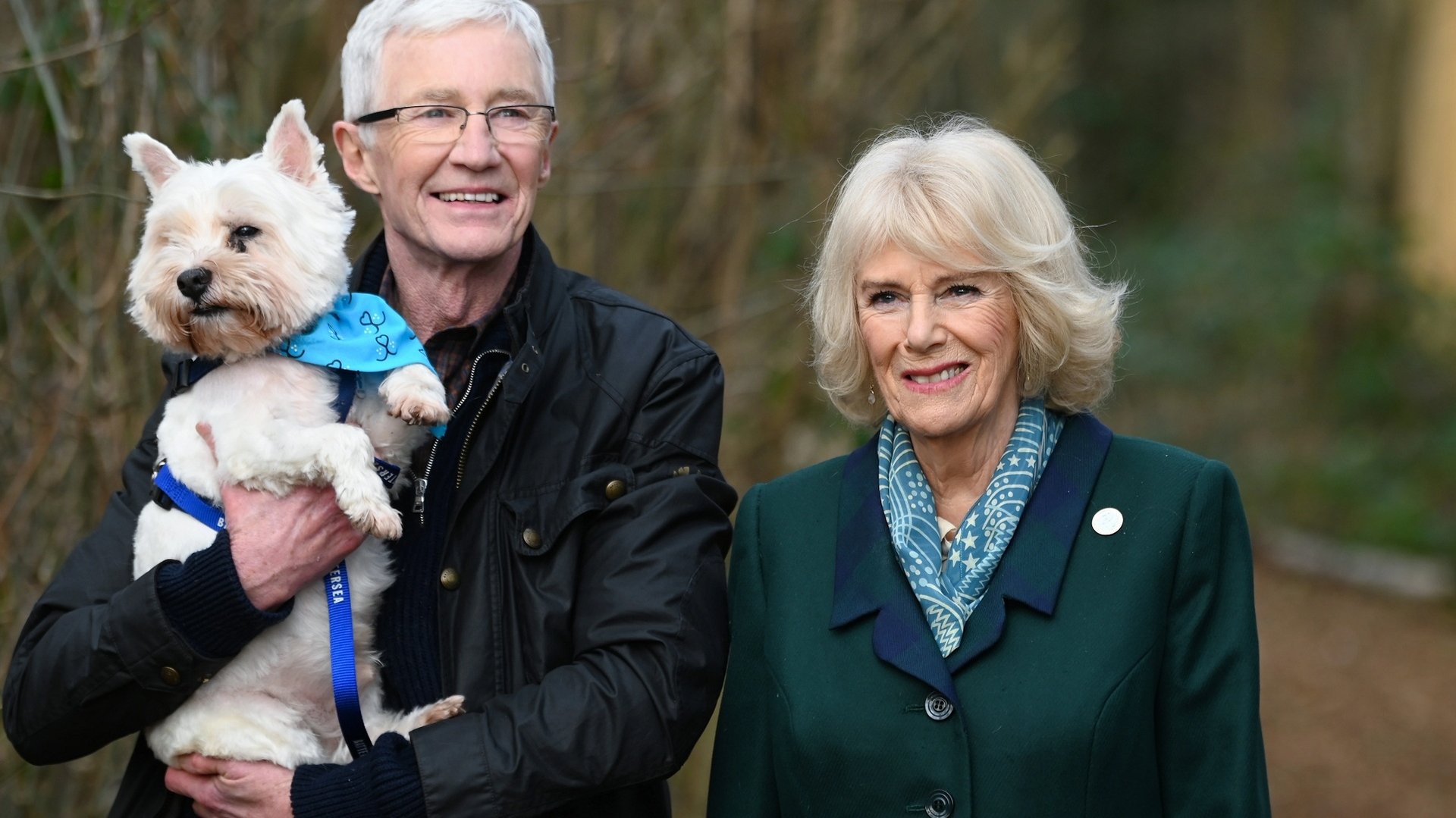 For the Love of Dogs Season 10 Episode 8 : Episode 8