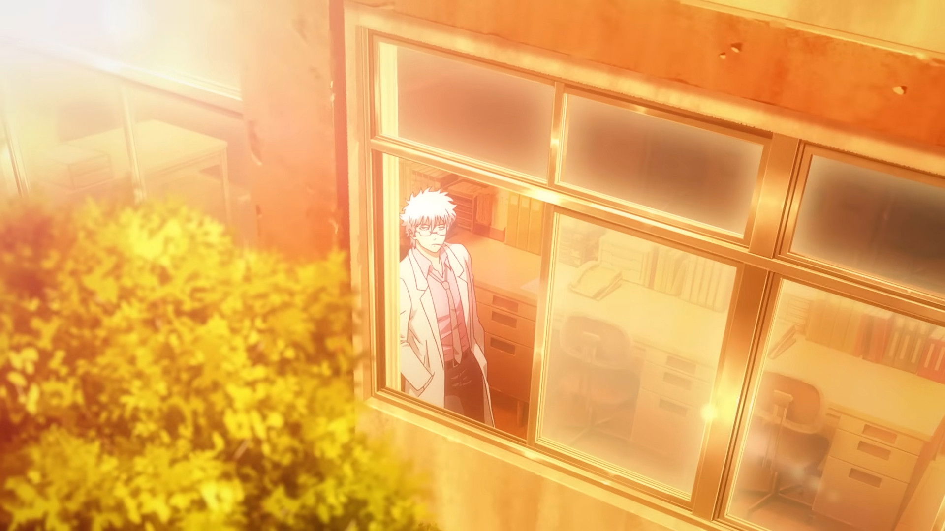 GINTAMA - Mr. Ginpachi's Zany Class Season 1 Episode 8 : They Say Nobody'll Ever Know if You Embarrass Yourself on a Holiday, but Nobody Wants to Embarrass Themselves in the First Place