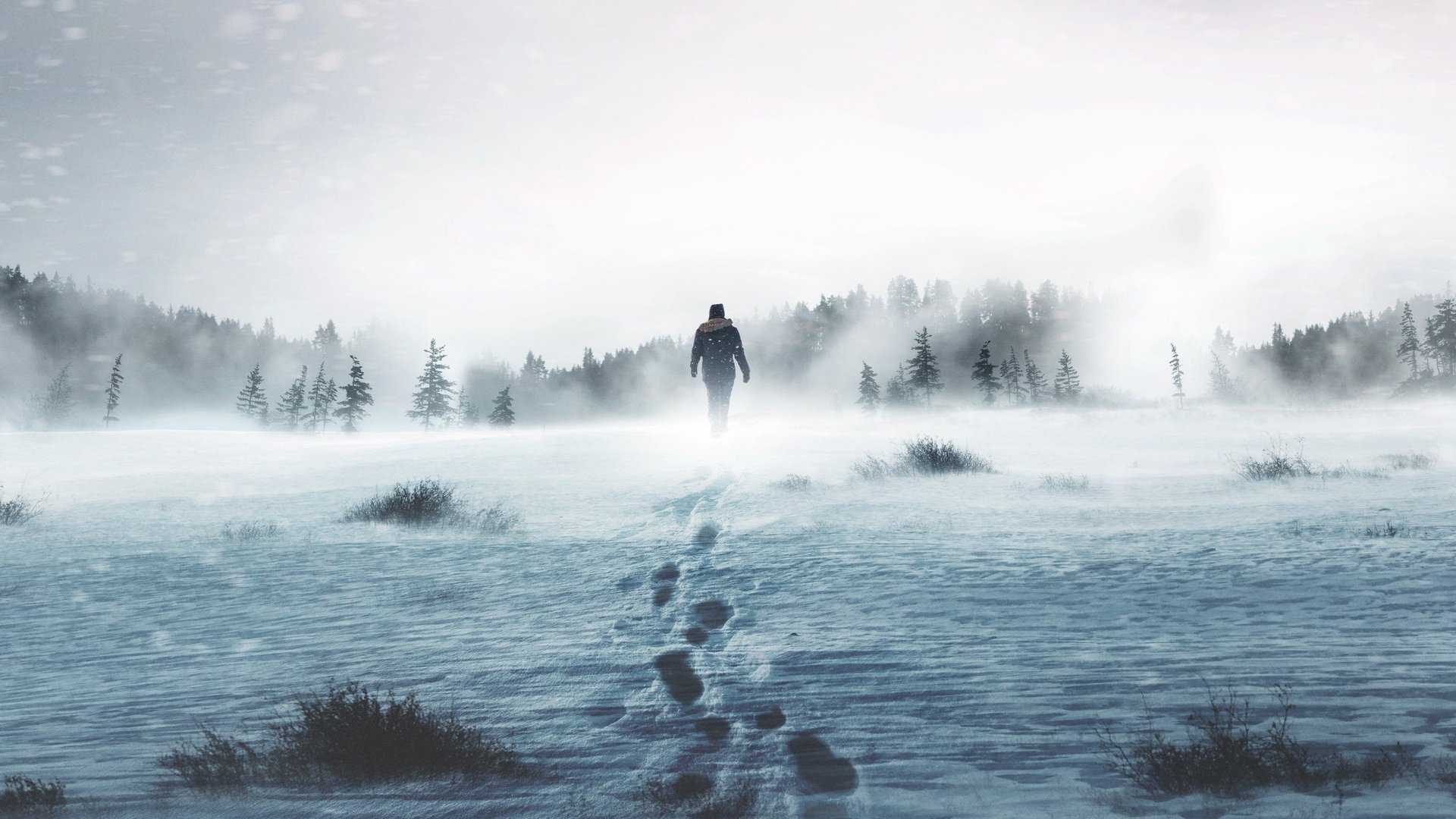 Alone Season 12 Episode 9 : The Promised Land