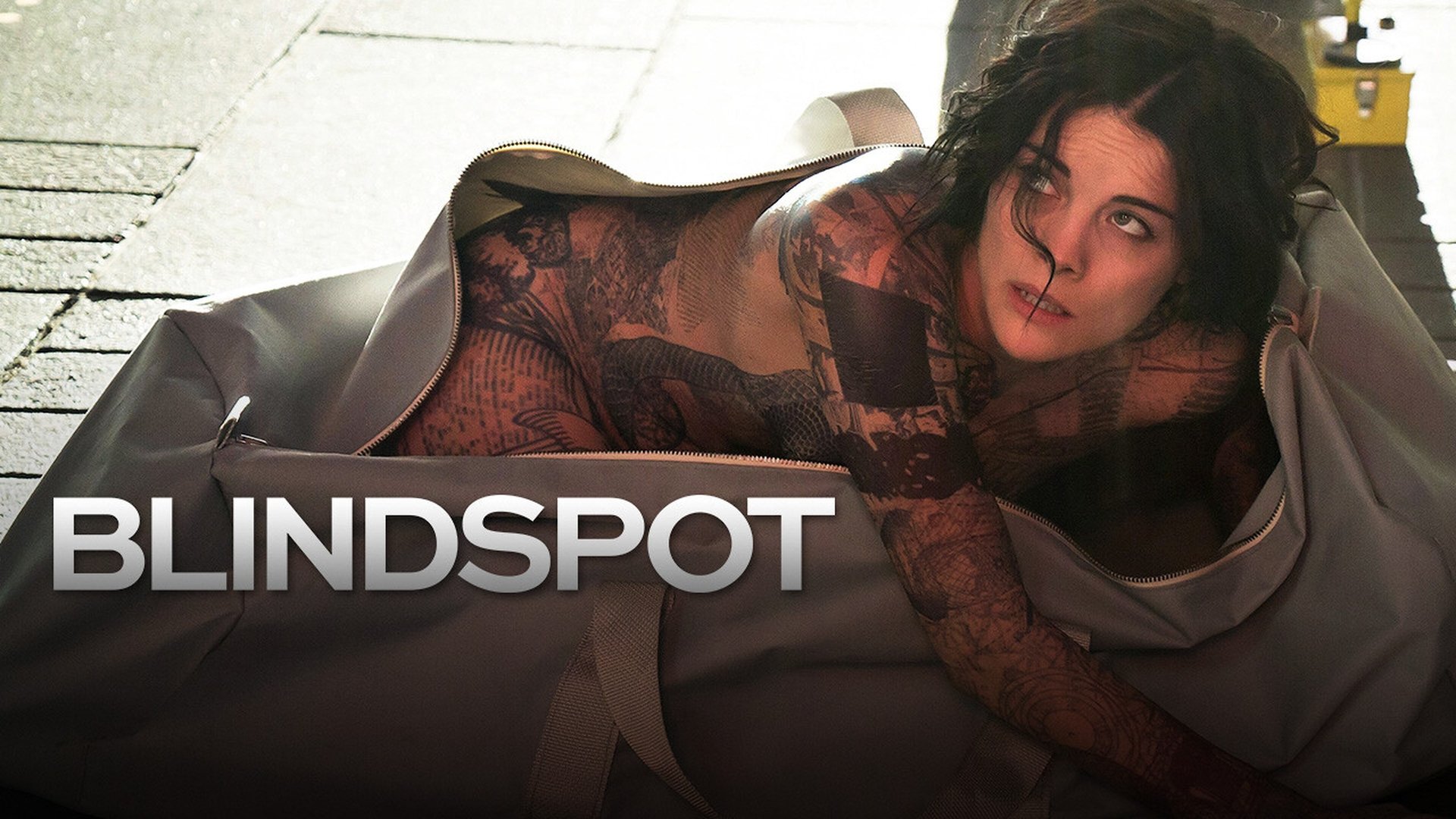 Blindspot Season 4 Episode 2 : My Art Project