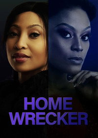 Home Wrecker (2023) {English With Subtitles} WEB-DL 480p [280MB] || 720p [770MB] || 1080p [1.8GB]