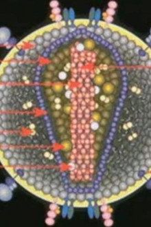 Deconstructing the Myth of Aids