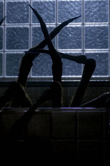 Night Spider