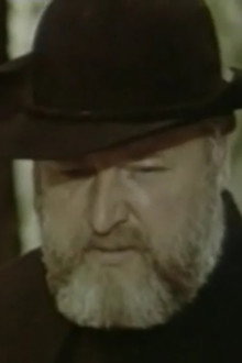 Veidas taikinyje