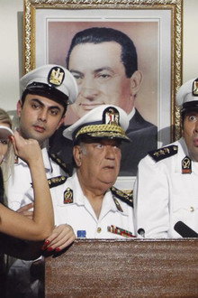 اسد وأربع قطط
