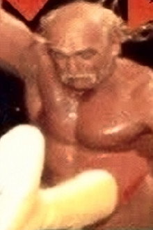 WCW Fall Brawl 1995