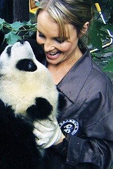 Sneezing Baby Panda: The Movie