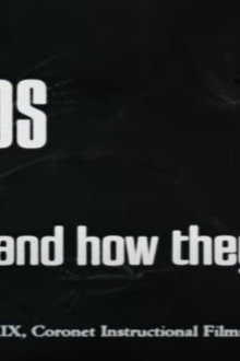 Molds and How They Grow
