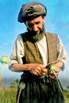 Afghanistan's Opium Trail