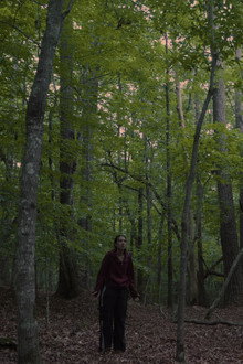 Echoes of the Absent